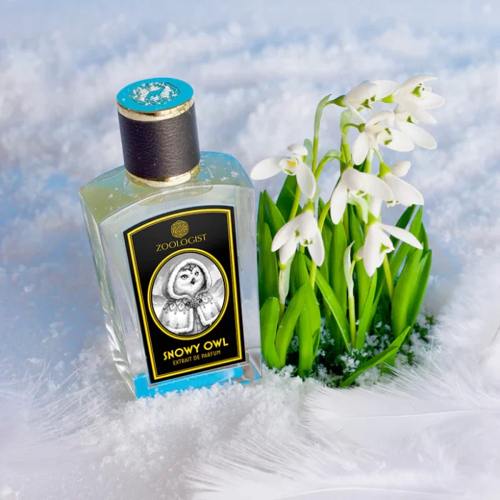 Snowy Owl - Decant - Zoologist Perfumes