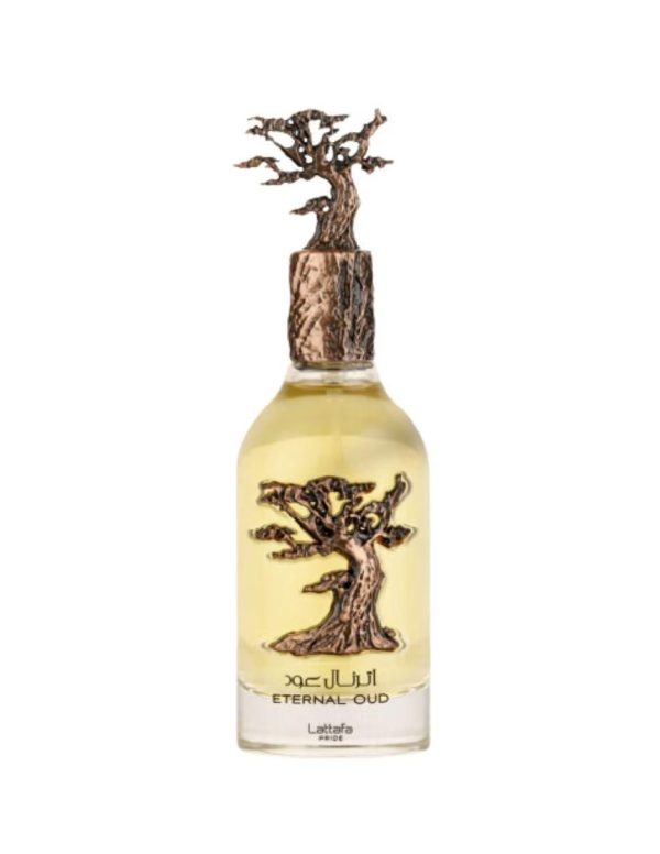 5cd77e8a-de5e-4f04-9c2c-c1ff13c0a492 Eternal Oud - Decant - Lattafa