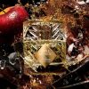 Apple Brandy on the Rocks - Decant - By Kilian