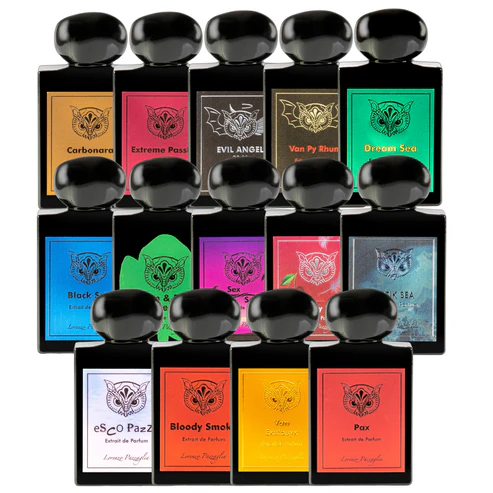 Discovery Coleccion 17x 2ml - Lorenzo Pazzaglia