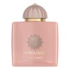 43068181_x1 Guidance - Decant - Amouage