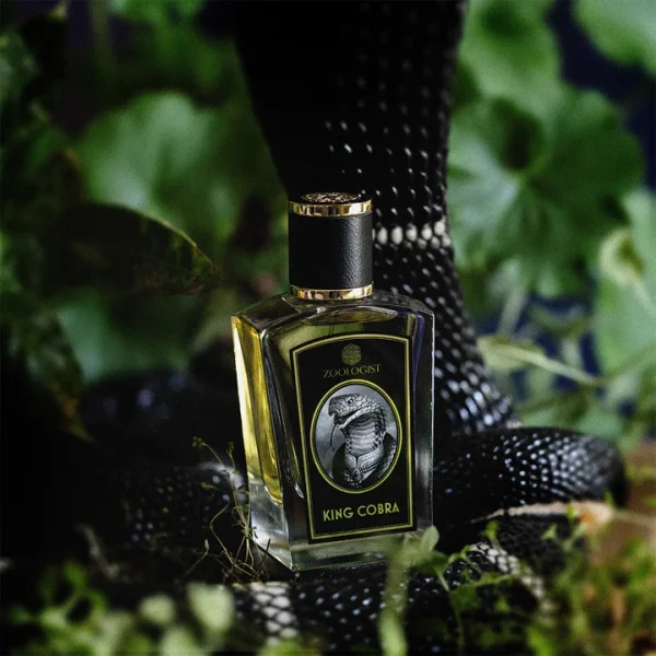 King Cobra - Decant - Zoologist Perfumes