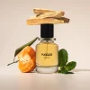 Parfum 1 Extrait De Parfum - 100ml - FUGAZZI