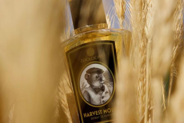 Harvest Mouse - Decant - Zoologist Perfumes