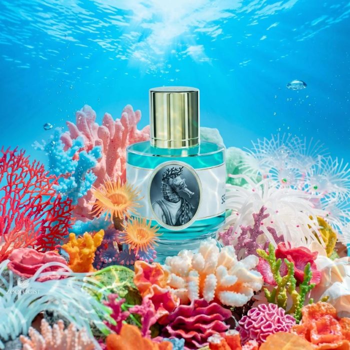 Seahorse - Decant - Zoologist Perfumes