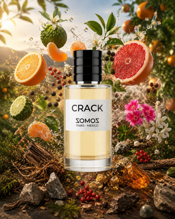 Crack - Decant - SOMOS Paris Mexico