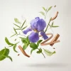 Kiyumizu-Dera - Decant - Memories Parfums