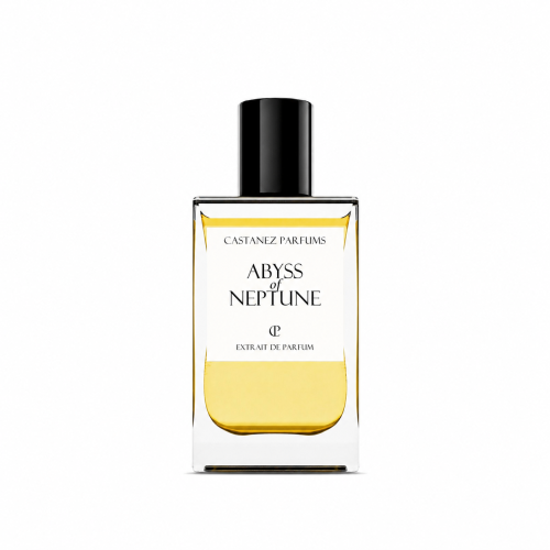 072c089c-a772-41c8-bc6b-75d185398328 Abyss of Neptune - Decant - Castanez Parfums