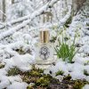 Snowy Owl - Decant - Zoologist Perfumes