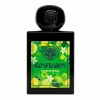 Gin Fusion - Decant - Lorenzo Pazzaglia